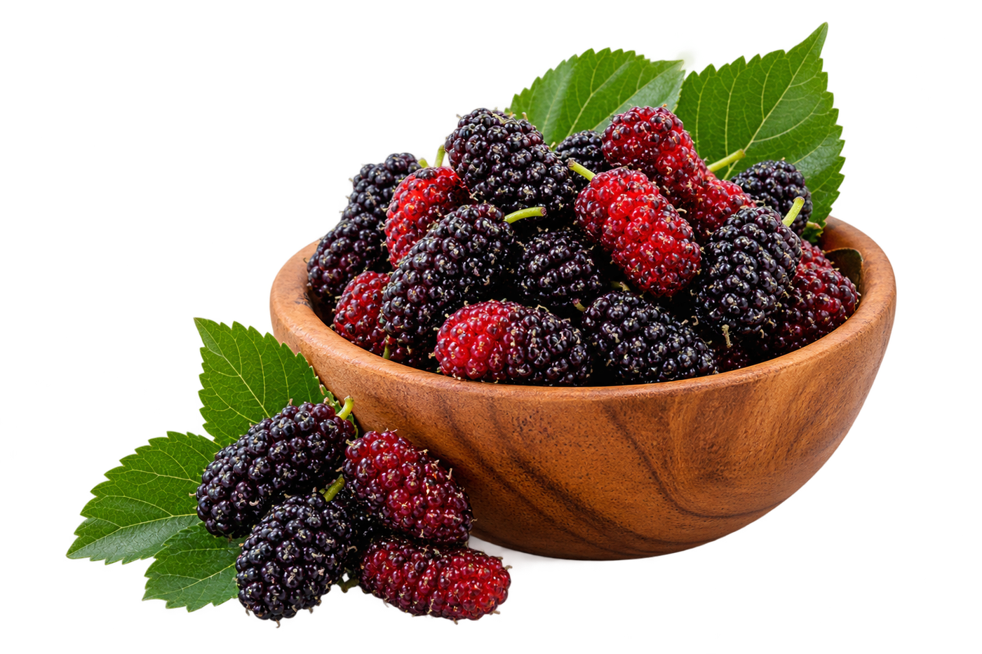 Buah Mulberry